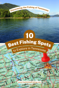 Read more about the article The Top 10 Best Fishing Lakes in Tennessee