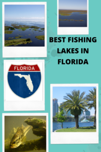 Read more about the article The Top 10 Best Fishing Lakes in Florida