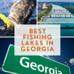 The Top 10 Best Fishing Lakes in Georgia