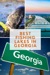 Read more about the article The Top 10 Best Fishing Lakes in Georgia