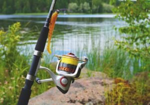 Read more about the article How to Choose the Best Fishing Rod for Your Needs in 2024: Your Ultimate Guide