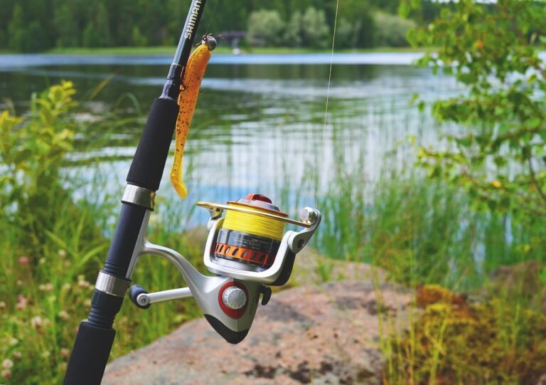 Best Fishing Rod