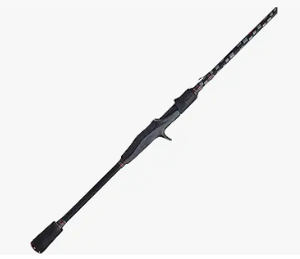 Best Fishing Rod